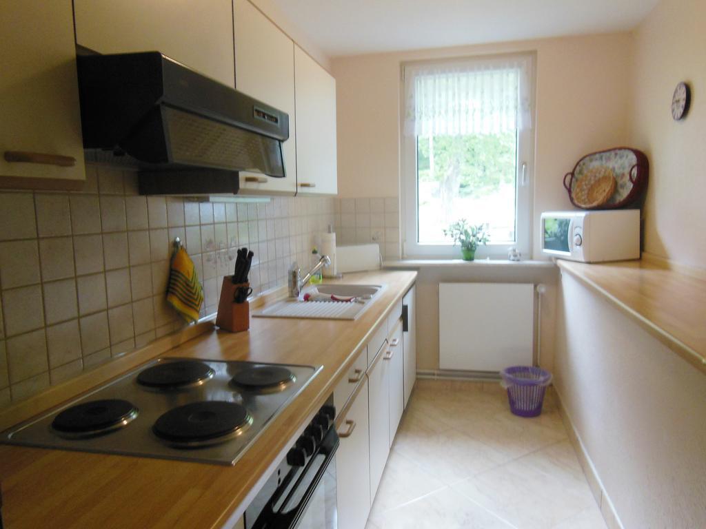 Ferienhaus Harzidyll Schierke Oda fotoğraf